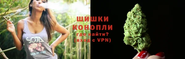 бошки Вяземский