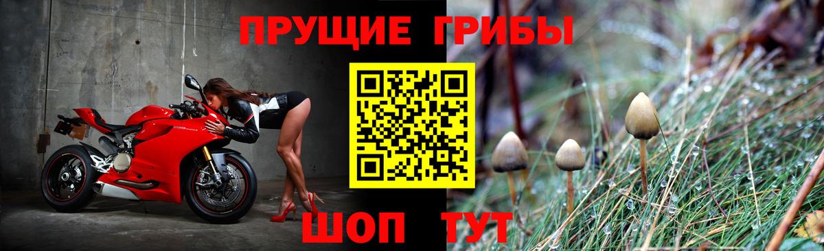 Галлюциногенные грибы Magic Shrooms  Галлюциногенные грибы Magic Shrooms  Гай 