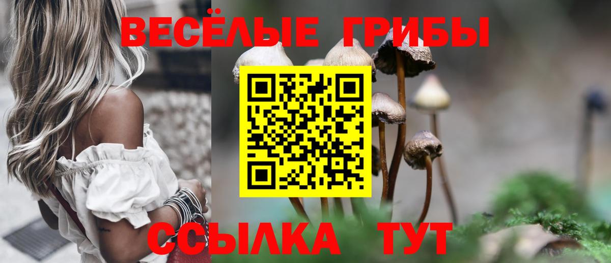 Галлюциногенные грибы мицелий Гай